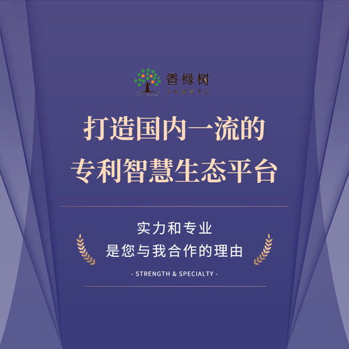 广西科泰智航的知识产权选择 香橼树信息技术咨询服务的战略考量